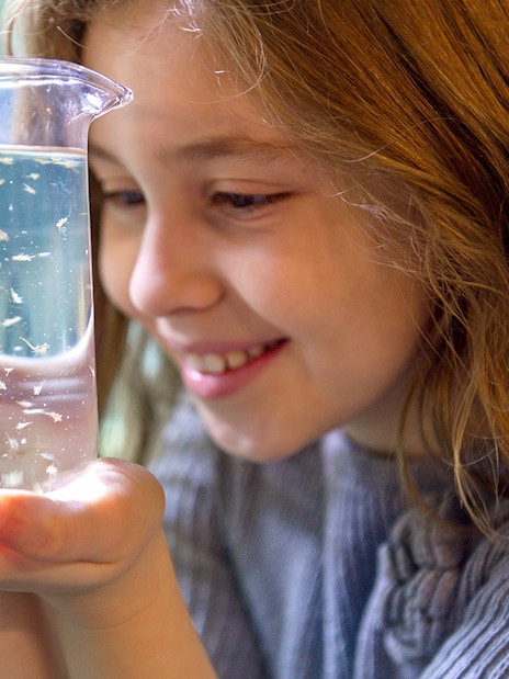 SEA LIFE London aquarium staff guiding visitors through behind-the-scenes marine life exhibits.