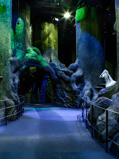 Set of the Forbidden Forest at Harry Potter Warner Bros. Studio, London
