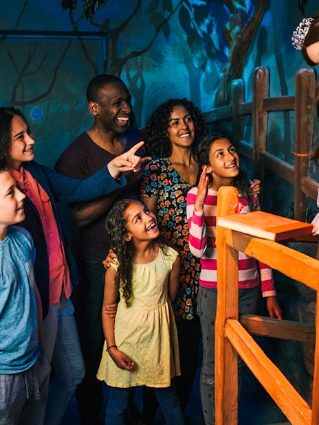 Shrek's Adventure London and Paddington Bear Experience combo tour.