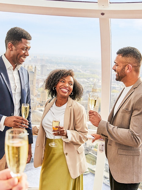 Friends in shared capsule on London Eye with city view