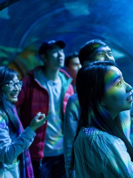 Visitors exploring SEA Life London Aquarium exhibits