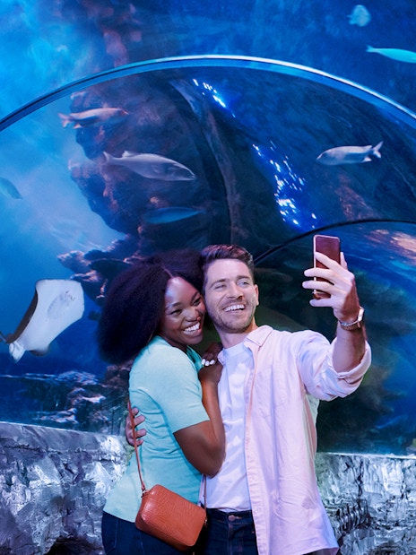 Tourist taking selfie at Sea Life London Aquarium with marine life in background.