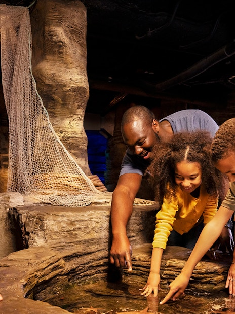 Visitors exploring SEA LIFE London Aquarium with diverse marine life exhibits.