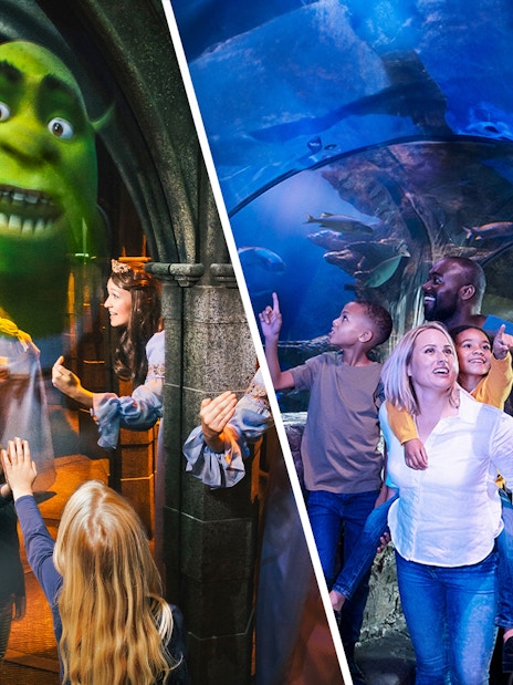 Visitors enjoying the Shrek Adventure and SEA Life London Aquarium tour, a unique combo experience in London
