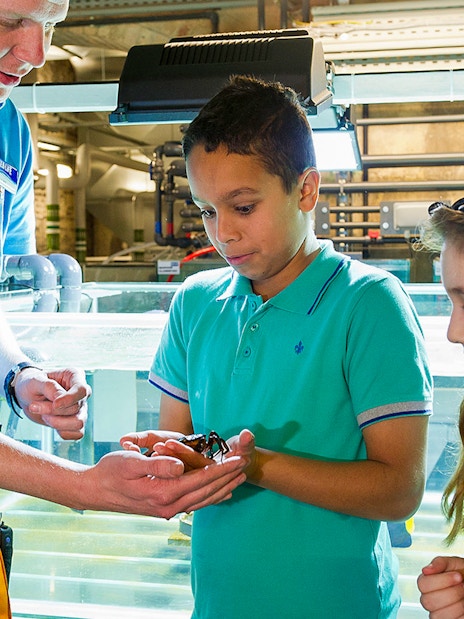 Children with a guide exploring SEA LIFE London aquarium behind the scenes.