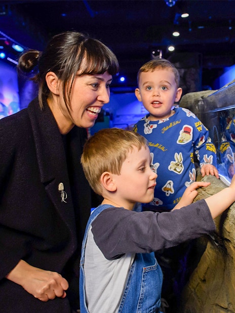 Visitors exploring SEA LIFE London Aquarium with diverse marine life exhibits.