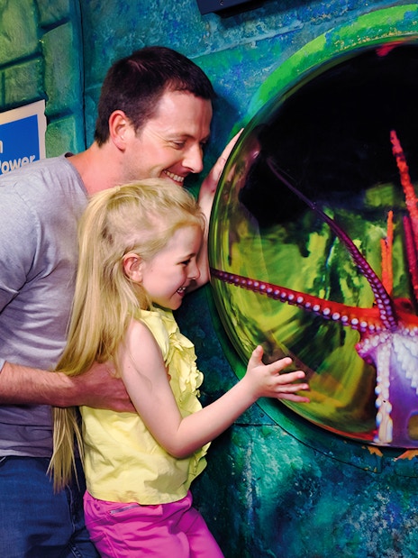 Family observing marine life at Sea Life London Aquarium.