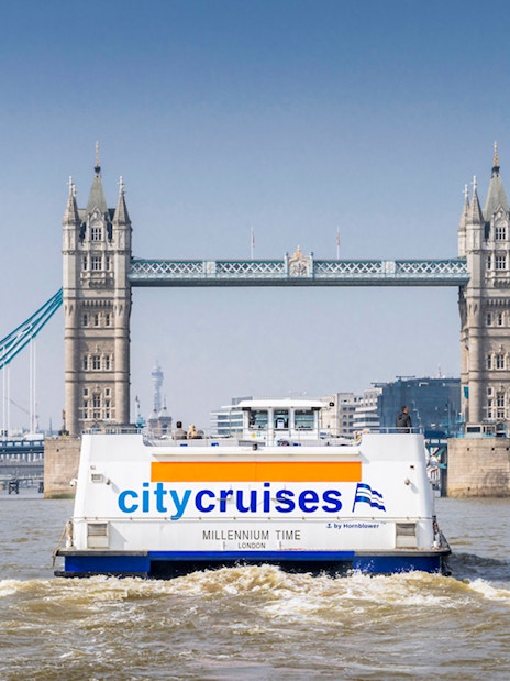 Thames River cruise with Christmas lunch, London Bridge in the background.